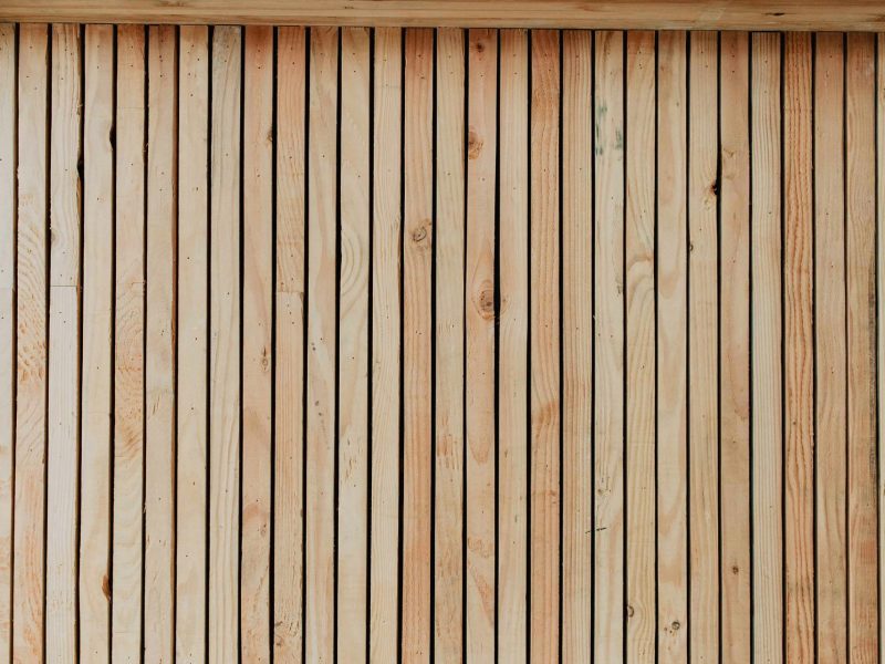 marisa-buhr-mizunaka-X-y7MWzIWJ0-unsplash